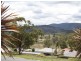 21 Bloodwood  Road, Muswellbrook NSW 2333