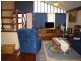 46 Osborn Avenue, Muswellbrook NSW 2333
