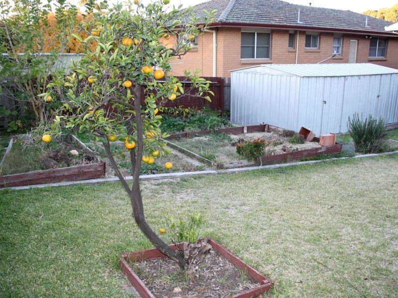 27 Osborn Avenue, Muswellbrook NSW 2333