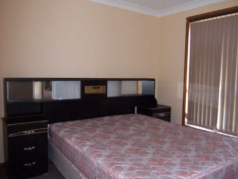 16 Carl Lane, Muswellbrook NSW 2333
