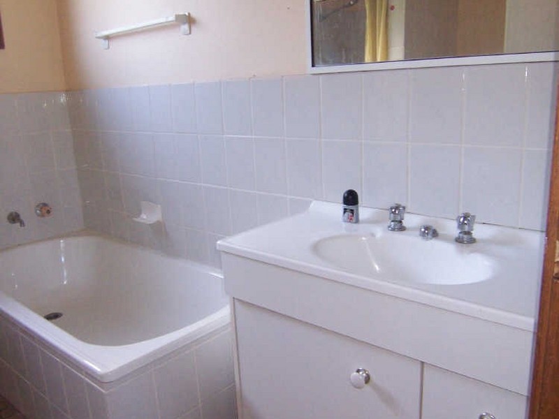 16 Carl Lane, Muswellbrook NSW 2333