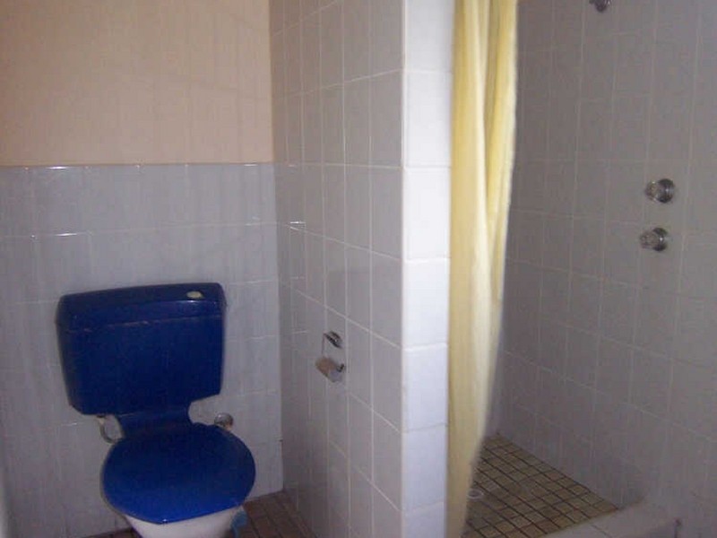 16 Carl Lane, Muswellbrook NSW 2333