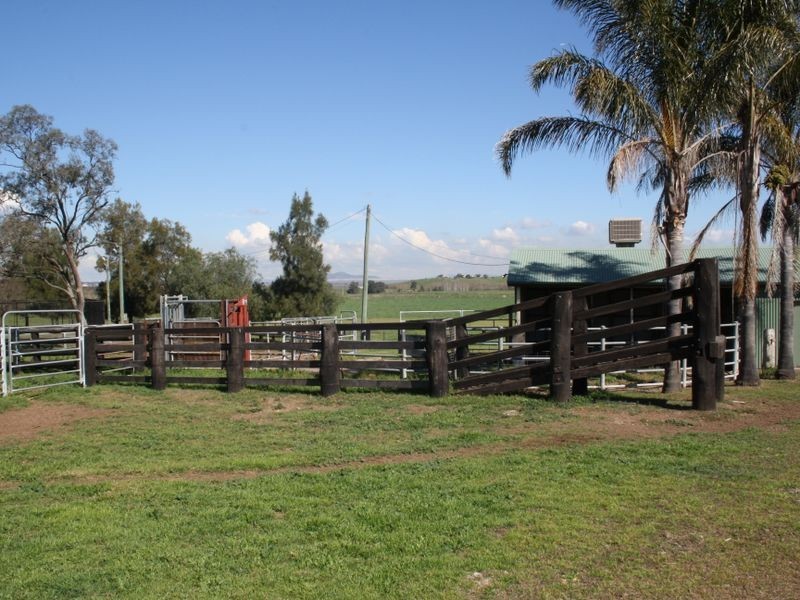 Elgin – New England Highway, Muswellbrook NSW 2333