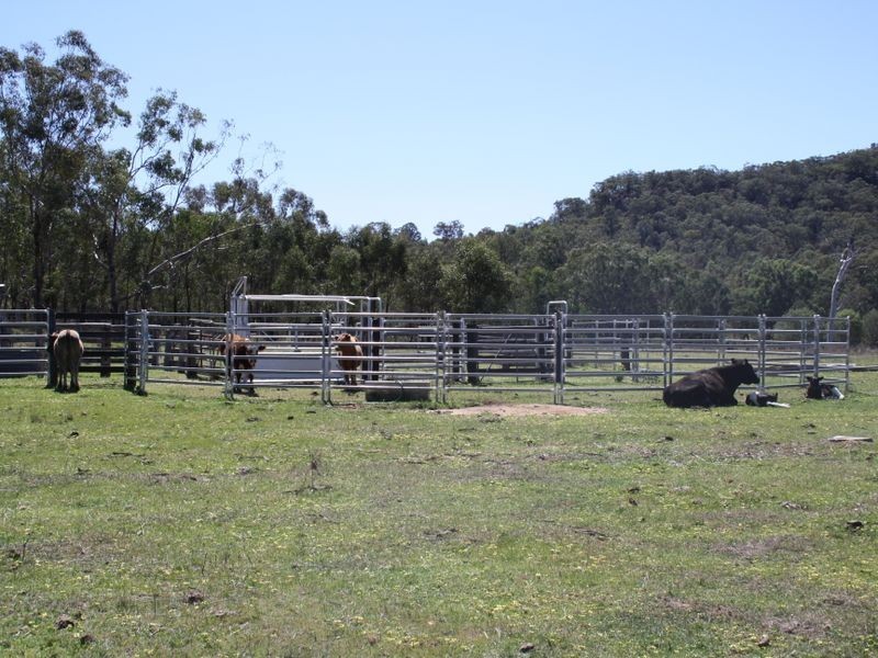 292 Tunbridge Road, Merriwa NSW 2329