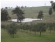 1048 Castle Rock Road, Muswellbrook NSW 2333