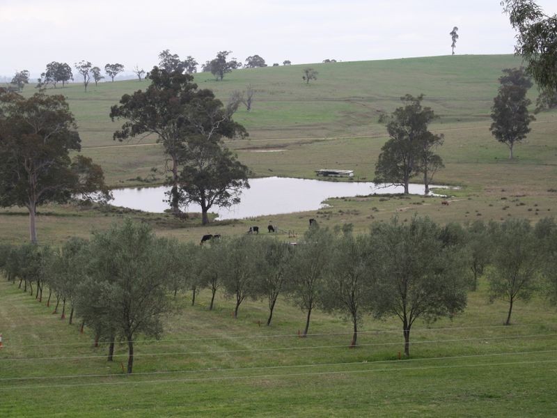 1048 Castle Rock Road, Muswellbrook NSW 2333