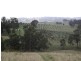 1048 Castle Rock Road, Muswellbrook NSW 2333