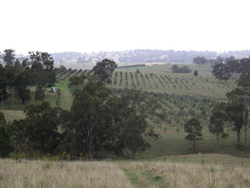 1048 Castle Rock Road, Muswellbrook NSW 2333