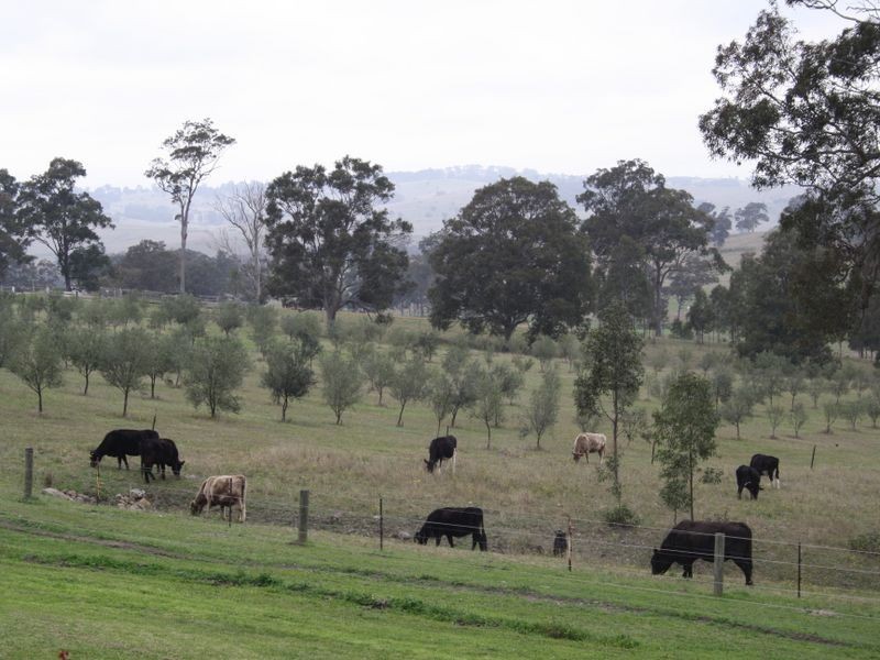 1048 Castle Rock Road, Muswellbrook NSW 2333