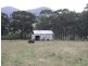 1048 Castle Rock Road, Muswellbrook NSW 2333