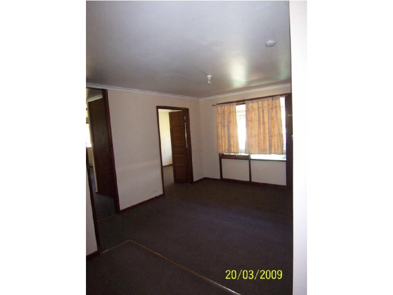 94 Wollombi Road, Muswellbrook NSW 2333