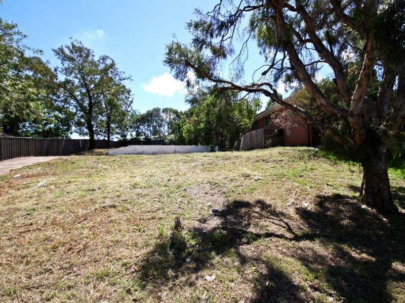 131 Wollombi Road, Muswellbrook NSW 2333