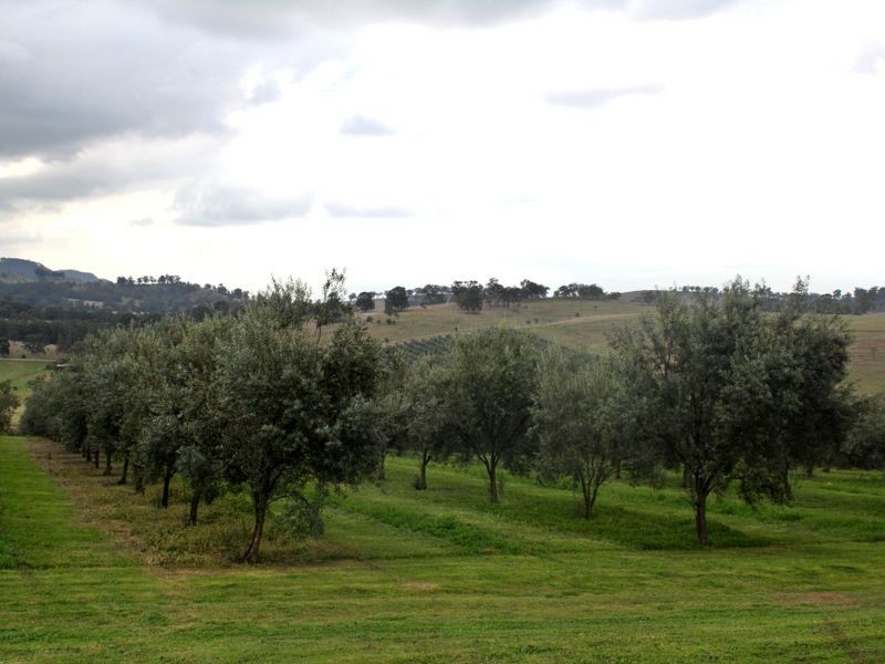 991 Castlerock Road, Muswellbrook NSW 2333