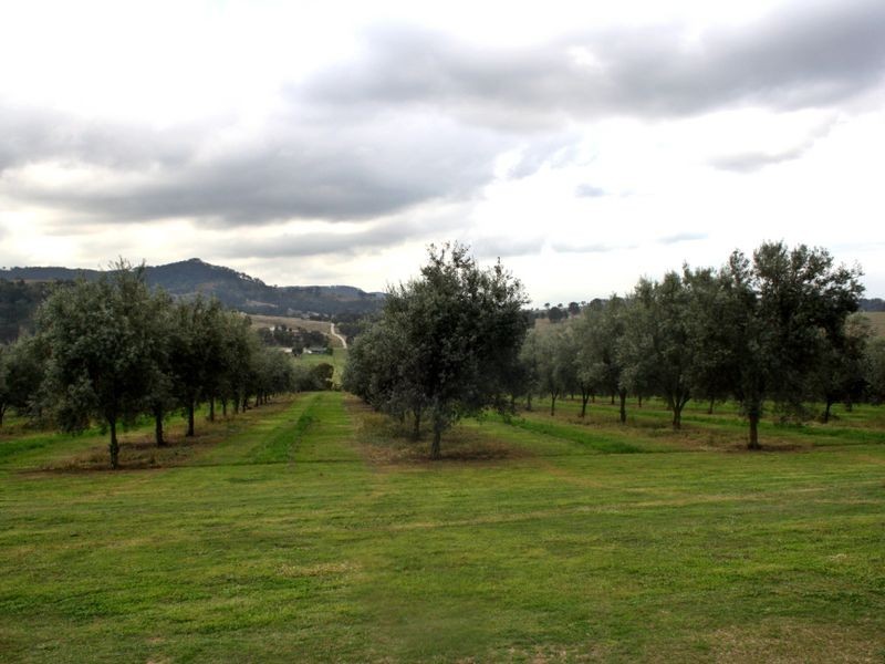 991 Castlerock Road, Muswellbrook NSW 2333