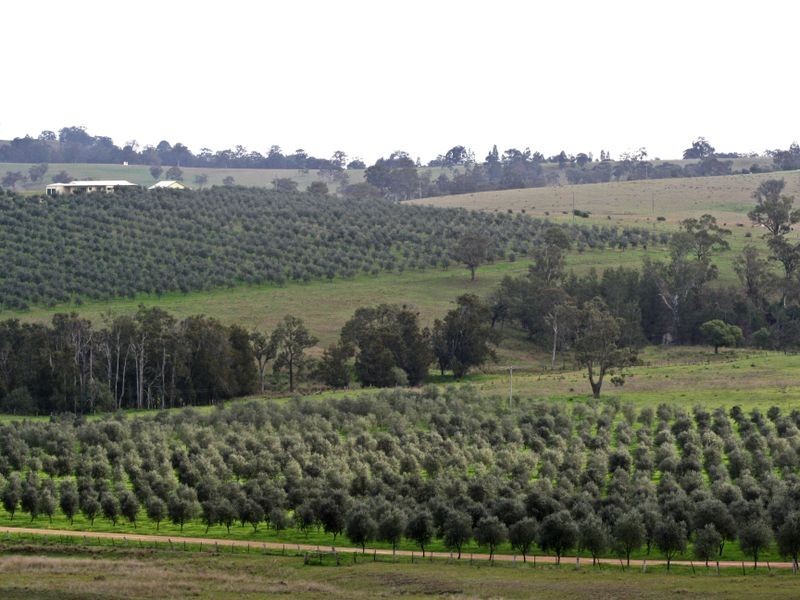 991 Castlerock Road, Muswellbrook NSW 2333