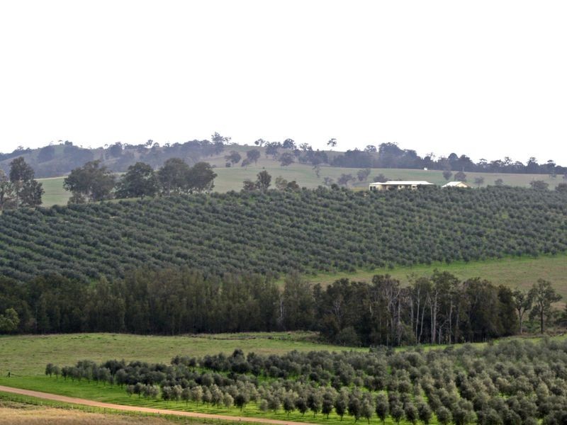 991 Castlerock Road, Muswellbrook NSW 2333