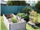 8 Birralee Street, Muswellbrook NSW 2333