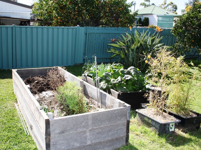 8 Birralee Street, Muswellbrook NSW 2333
