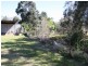 10 Clifford Street, Muswellbrook NSW 2333