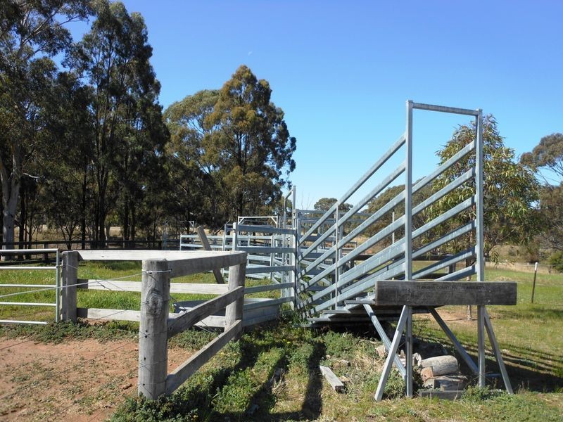 317 Rosemount Road, Denman NSW 2328