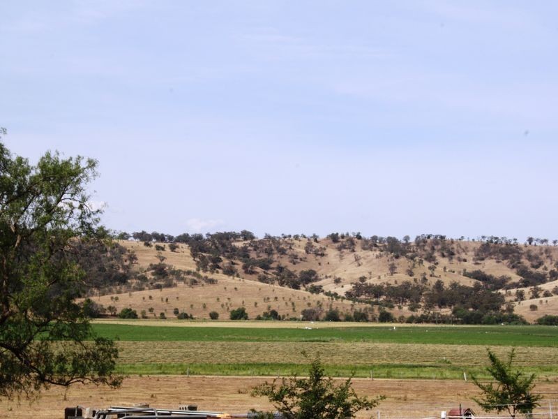 34 Pagan Street, Jerrys Plains NSW 2330