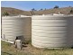 814 Muscle Creek Road, Muswellbrook NSW 2333