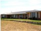 814 Muscle Creek Road, Muswellbrook NSW 2333