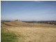 814 Muscle Creek Road, Muswellbrook NSW 2333