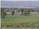 112 Cliftlands Road, Scone NSW 2337