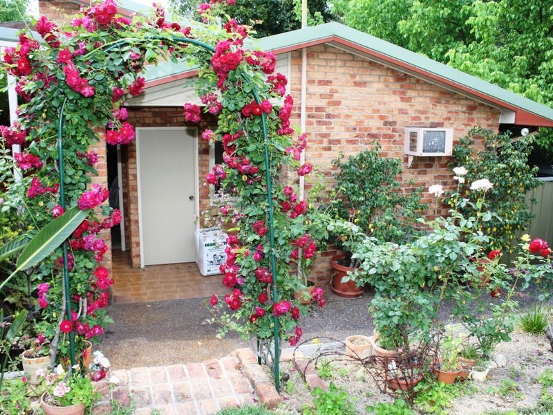 14 Ooranga Street, Muswellbrook NSW 2333