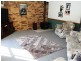 52 Calgaroo Ave, Muswellbrook NSW 2333