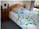 52 Calgaroo Ave, Muswellbrook NSW 2333