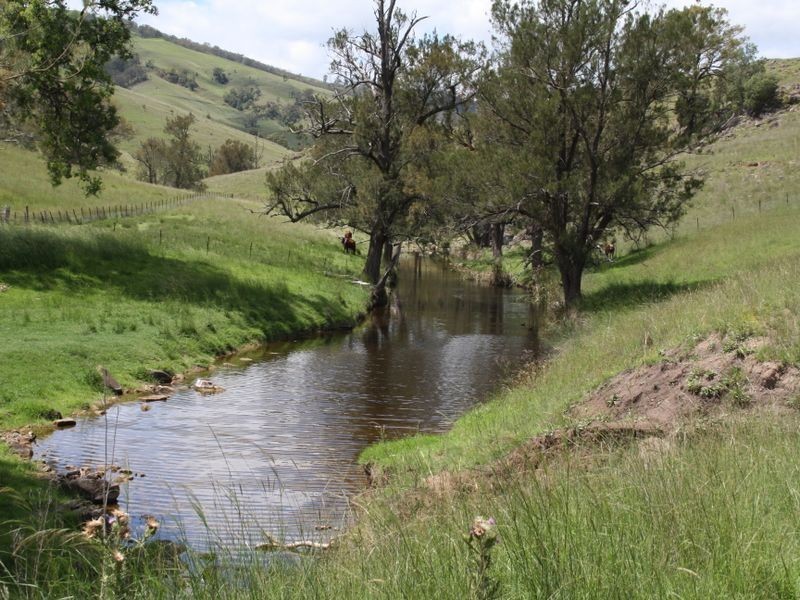 ‘Arkana’ 1988 Sandy Creek Road, Muswellbrook NSW 2333