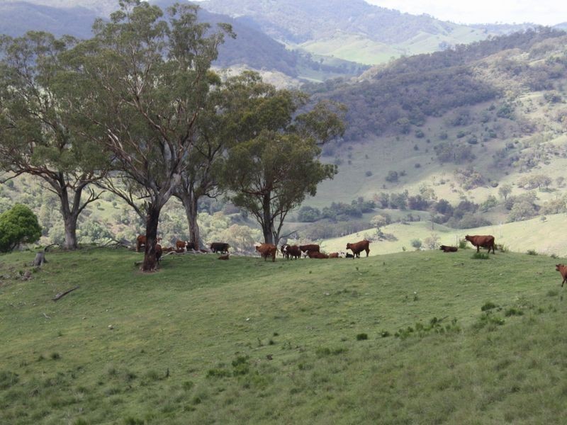 ‘Arkana’ 1988 Sandy Creek Road, Muswellbrook NSW 2333