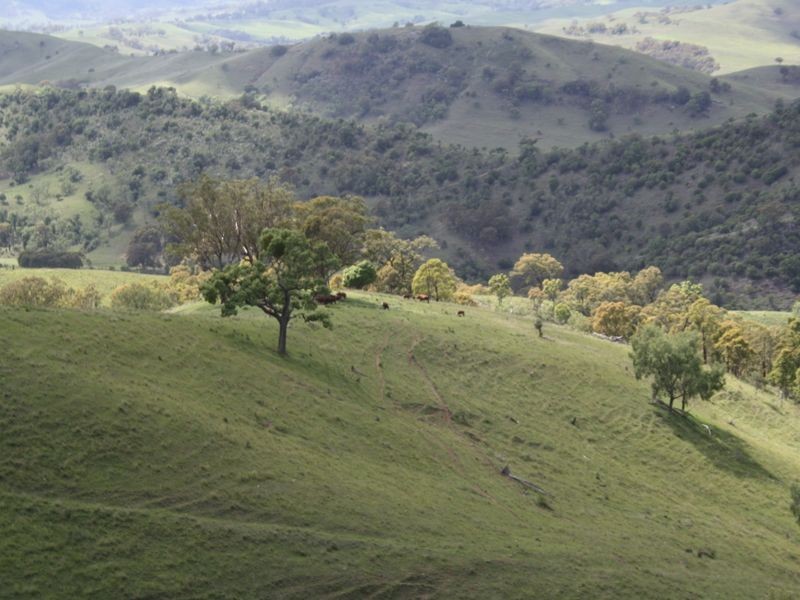 ‘Arkana’ 1988 Sandy Creek Road, Muswellbrook NSW 2333