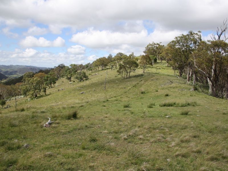 ‘Arkana’ 1988 Sandy Creek Road, Muswellbrook NSW 2333