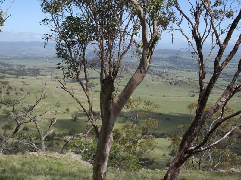 ‘Arkana’ 1988 Sandy Creek Road, Muswellbrook NSW 2333