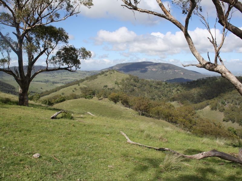 ‘Arkana’ 1988 Sandy Creek Road, Muswellbrook NSW 2333