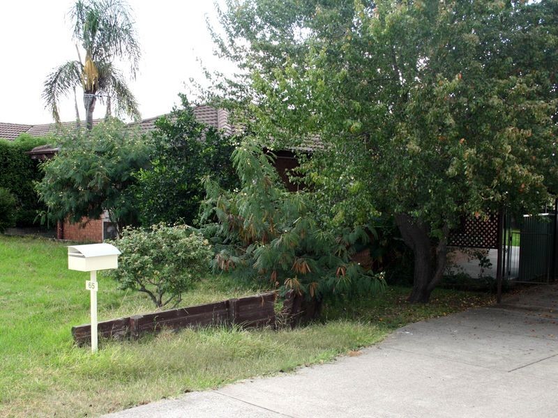 65 Adams Street, Muswellbrook NSW 2333