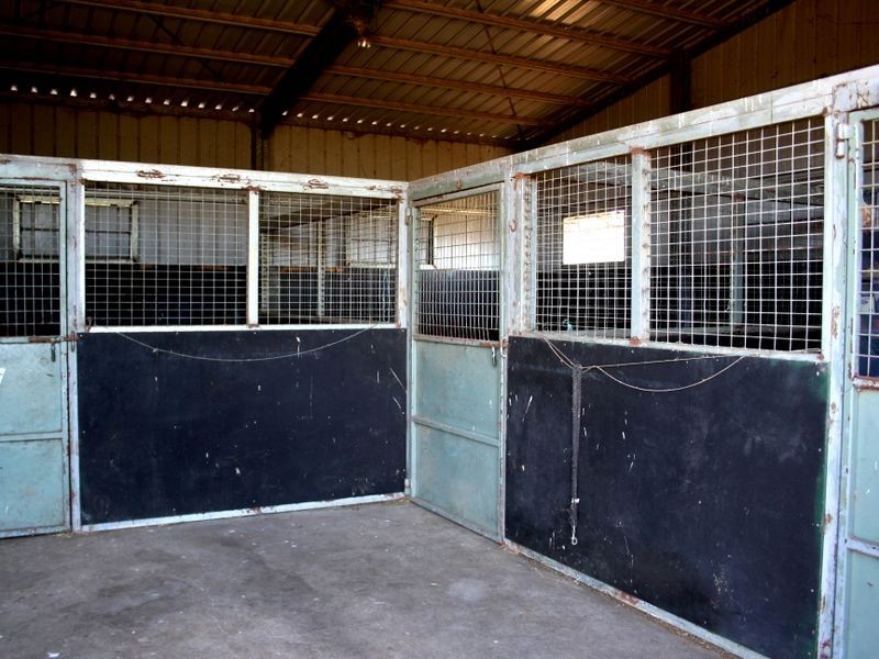 Mount Moobi Yarrandi Road, Scone NSW 2337