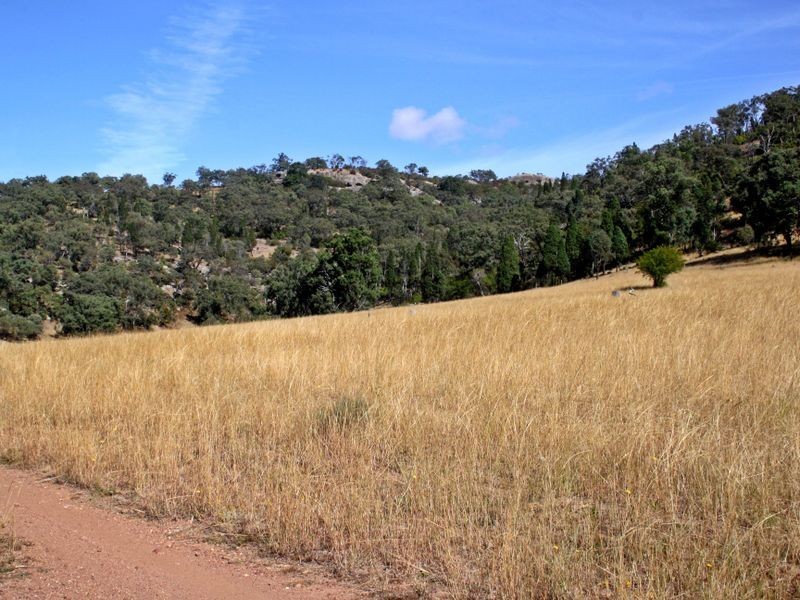 Mount Moobi Yarrandi Road, Scone NSW 2337