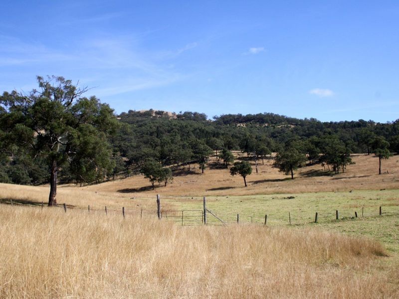Mount Moobi Yarrandi Road, Scone NSW 2337