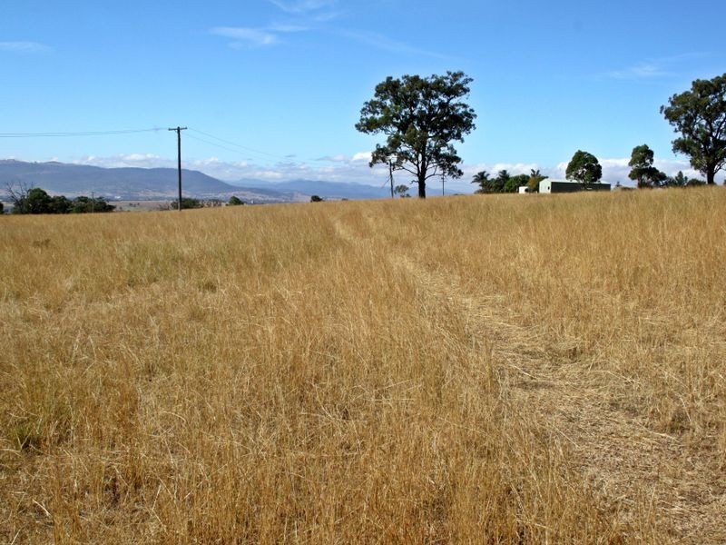 Mount Moobi Yarrandi Road, Scone NSW 2337