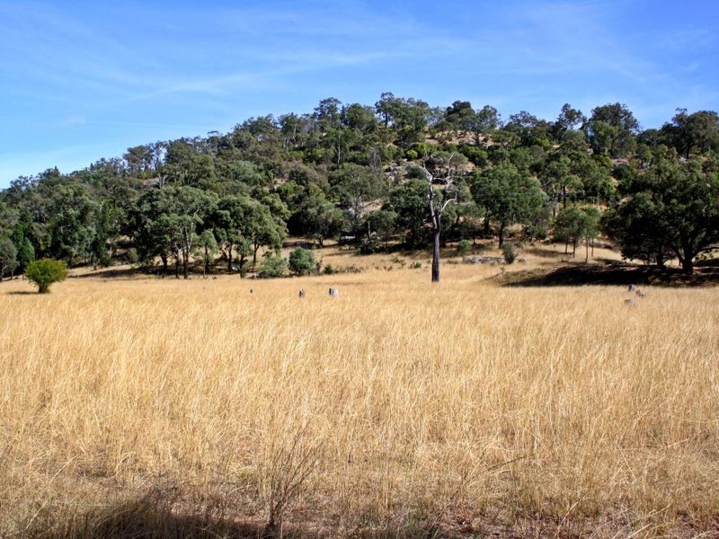 Mount Moobi Yarrandi Road, Scone NSW 2337