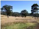 Mount Moobi Yarrandi Road, Scone NSW 2337