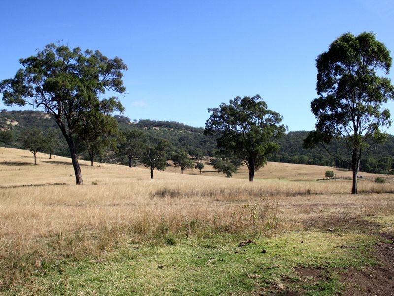 Mount Moobi Yarrandi Road, Scone NSW 2337