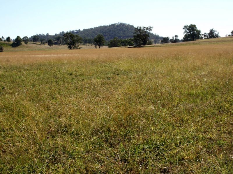 3481 Golden Highway, Merriwa NSW 2329