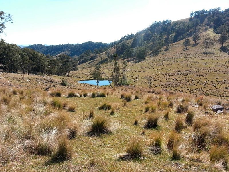 1740 Sandy Creek Road, Muswellbrook NSW 2333