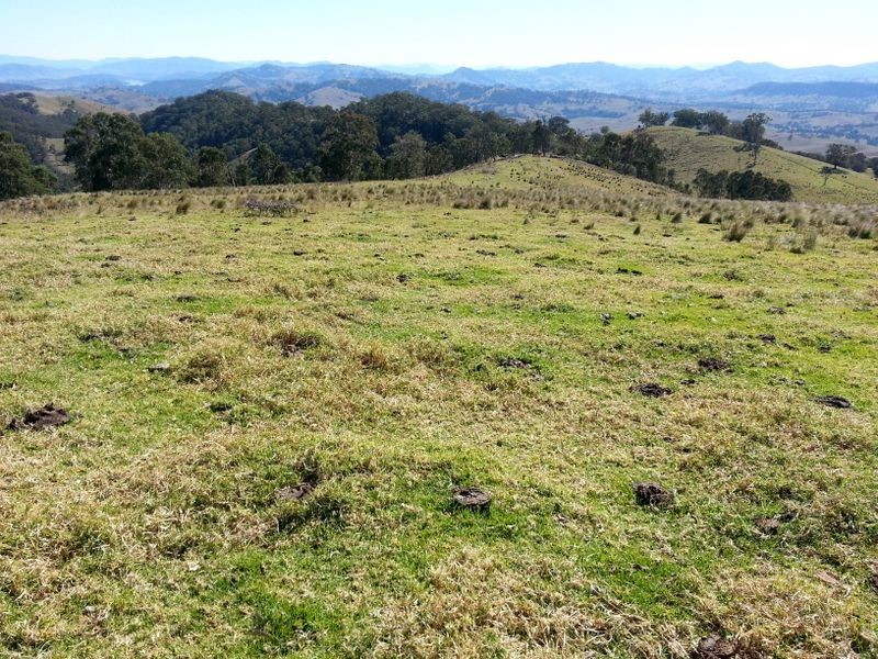 1740 Sandy Creek Road, Muswellbrook NSW 2333