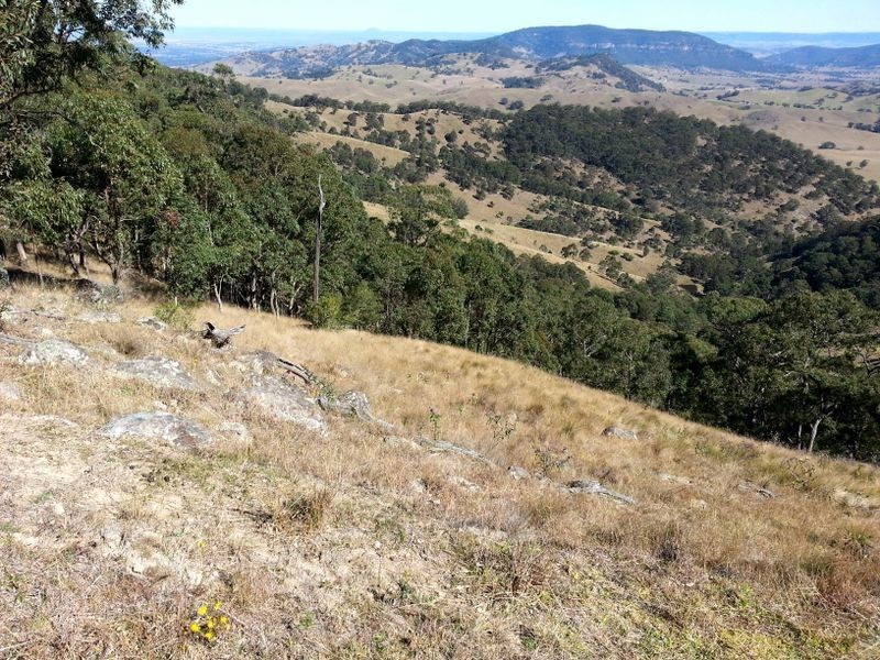 1740 Sandy Creek Road, Muswellbrook NSW 2333